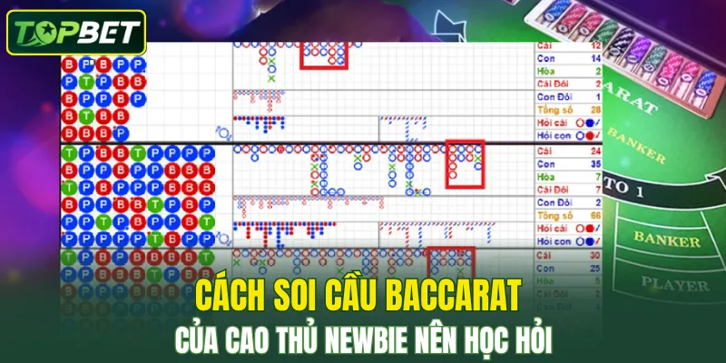 Cach Soi Cau Baccarat Cua Cao Thu Newbie Nen Hoc Hoi