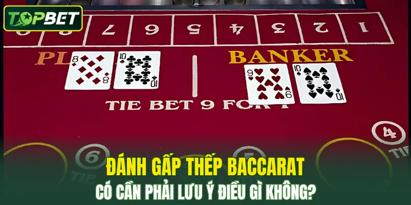 Mot Vai Luu Y Quan Trong Can Phai Ghi Nho Truoc Khi Den Voi Topbet