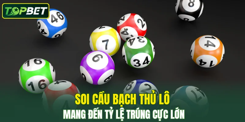 Soi Cau Bach Thu Lo Mang Den Ty Le Trung Cuc Lon