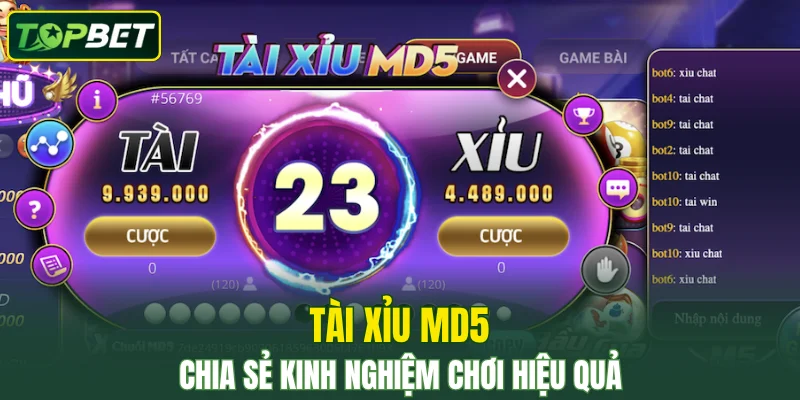 Tài Xỉu MD5 – Mẹo Cược Hay Từ Các Chuyên Gia TOPBET