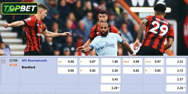 Ty Le Keo Chi Tiet Cho Tran Dau Afc Bournemouth Vs Brentford Fc