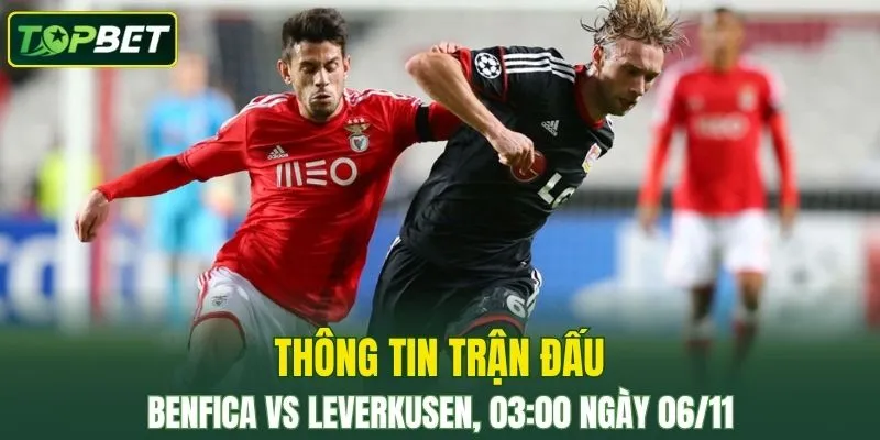 Thong Tin Tran Dau Benfica Vs Bayer Leverkusen Ngay 06 11 2025