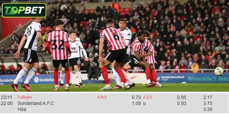 Ty Le Keo Chi Tiet Cho Tran Dau Fulham Vs Sunderland